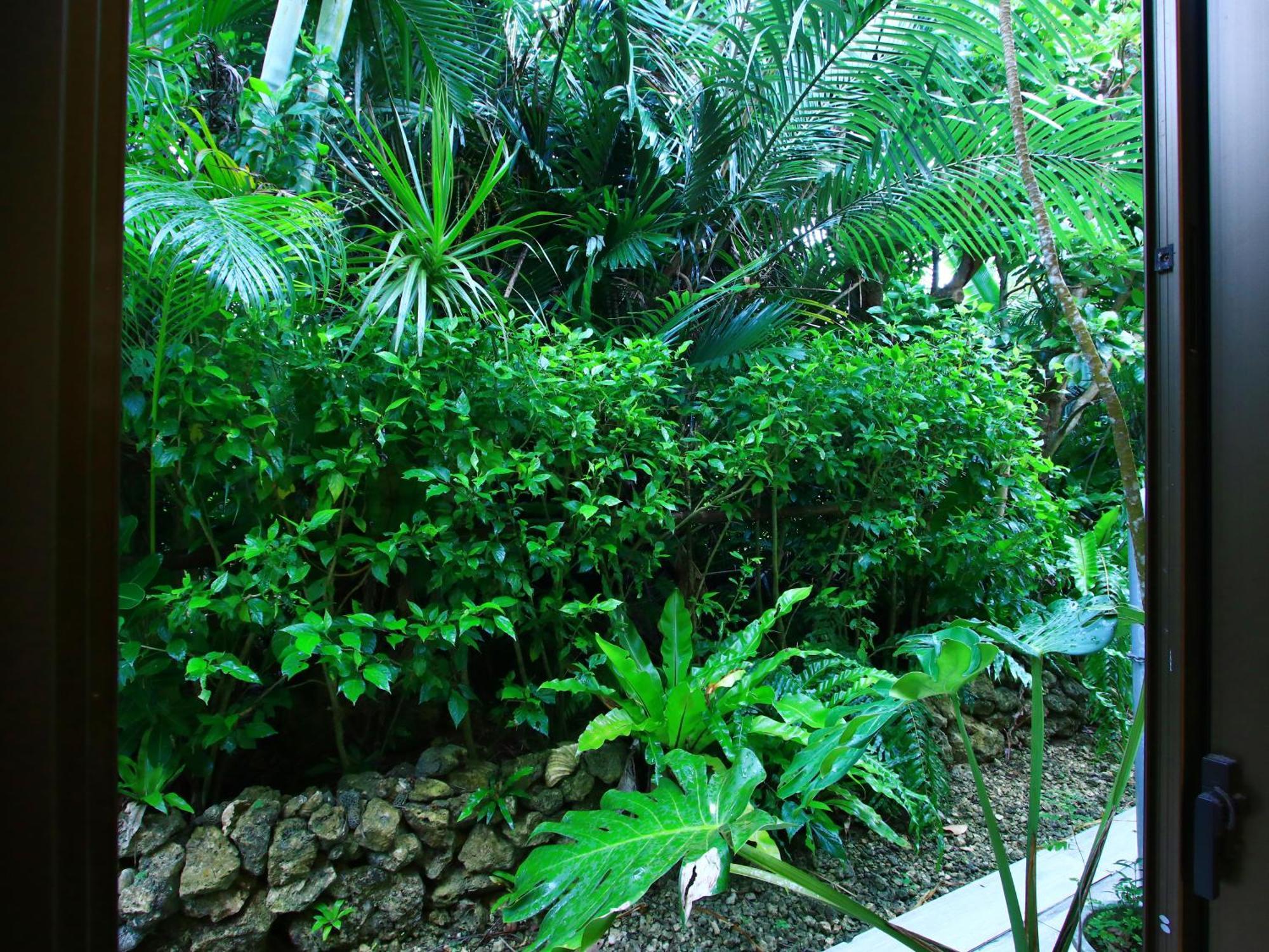 Villa Kachibai Ishigaki  Esterno foto