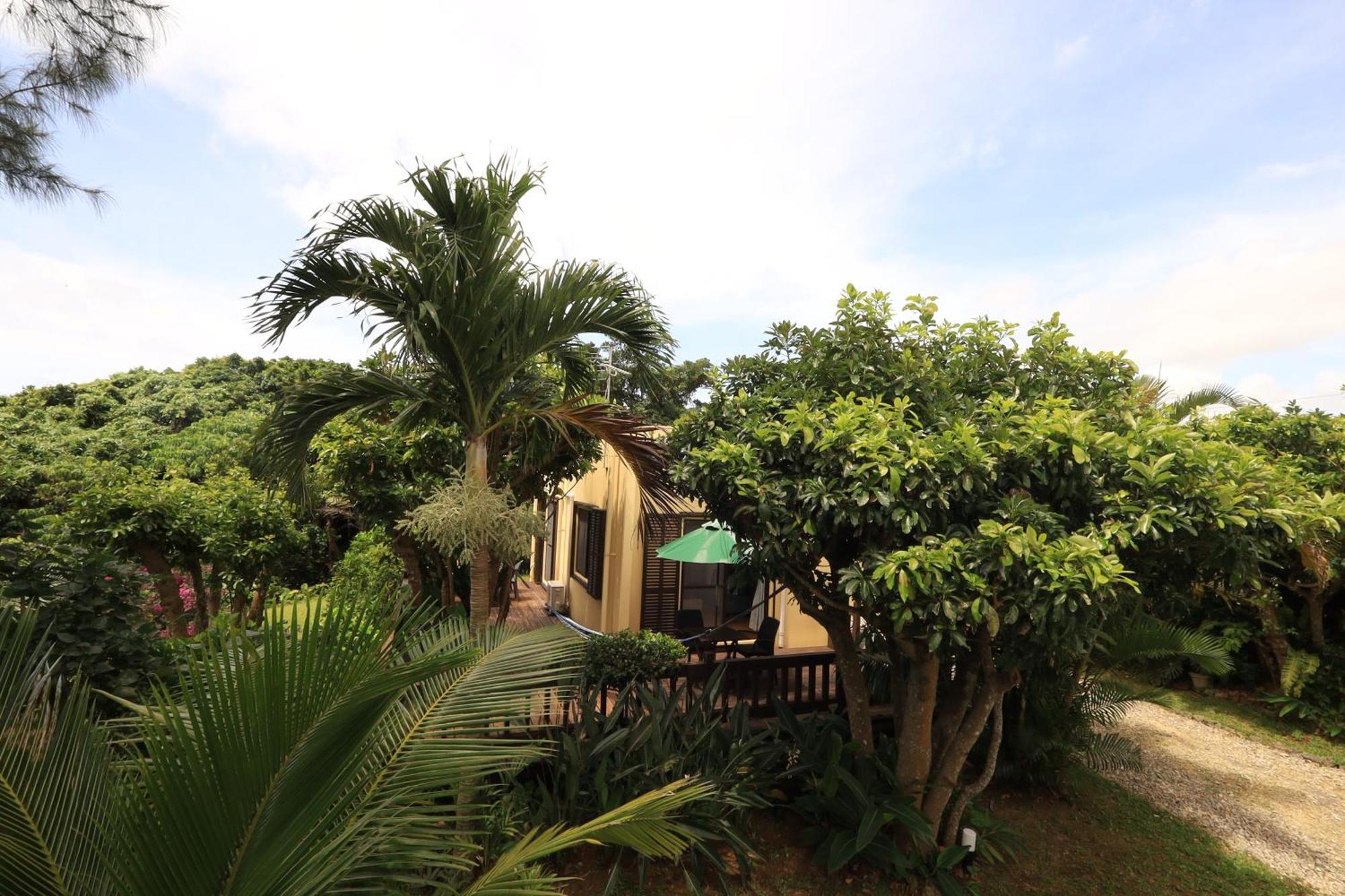Villa Kachibai Ishigaki  Esterno foto
